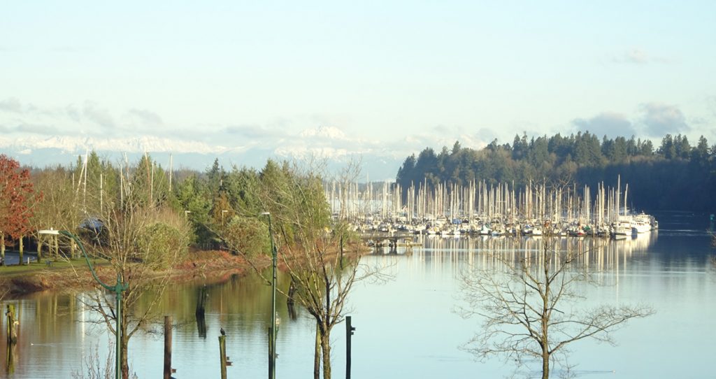 Community Youth Services » Pierce County